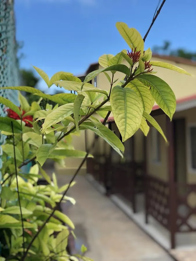 San AndrésCabanas Turisticas Caribbean Paradise别墅 山林小屋 San Andrés