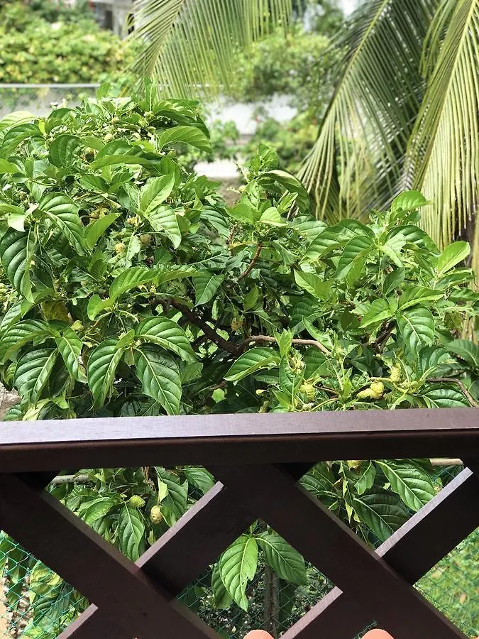 San AndrésCabanas Turisticas Caribbean Paradise别墅 山林小屋 San Andrés
